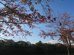 紅葉シーズンの大阪城公園