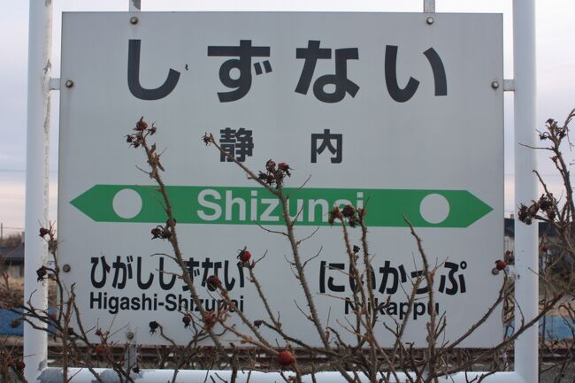 ２０２１年の春休み、北海道へ行ってきました。<br />この旅の目的は、<br />①廃線となる日高本線の不通区間の駅を訪問する。<br />②この年の３月１２日に廃止となった駅の現状を確認する。<br />でした。<br />２月に北海道を訪れたばかりですが、一ヶ月という短いインターバルで、再び北海道を訪れたのは初めてでした。<br />その１４は、惜別の静内駅と静内・旭川間移動編です。<br /><br />その１　出発とシルバーフェリー「シルバーエイト」乗船編https://4travel.jp/travelogue/11721952<br />その２　日高本線・代行バス（鵡川～静内）乗車編https://4travel.jp/travelogue/11722058<br />その３　惜別の厚賀駅編https://4travel.jp/travelogue/11722297<br />その４　惜別の大狩部駅編https://4travel.jp/travelogue/11723401<br />その５　惜別の汐見駅編https://4travel.jp/travelogue/11724967<br />その６　惜別の清畠駅・豊郷駅編https://4travel.jp/travelogue/11725264<br />その７　日高本線代行バス（静内～様似）乗車編https://4travel.jp/travelogue/11726371<br />その８　惜別の様似駅・西様似駅編https://4travel.jp/travelogue/11726520<br />その９　惜別の本桐駅編https://4travel.jp/travelogue/11726831<br />その１０　惜別の蓬栄駅編https://4travel.jp/travelogue/11727870<br />その１１　惜別の絵笛駅編https://4travel.jp/travelogue/11728146<br />その１２　惜別の東静内駅編https://4travel.jp/travelogue/11729432<br />その１３　惜別の日高東別駅・春立駅編https://4travel.jp/travelogue/11731206