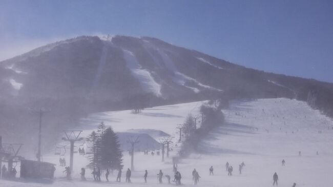 年末恒例の北東北スキー、数年に一度の寒波予報でしたが、予定どおり出かけました。<br />案の定、前半はなかなか(&gt;&lt;)　思ったより滑れましたが、とにかく寒い！　たぶん－10℃以下(；∀；)<br /><br />スキー友達Ｋさんのぶっ飛びトークや民宿赤坂田ステイでゆっくりできたので楽しかったです。<br /><br />５泊６日、以下の予定です。どうせ悪天候で１～２日はお休みだろうなという読みでしたが……<br />25日～27日　安比高原<br />28日～29日　たざわ湖<br />30日　　　　阿仁スキー場<br />