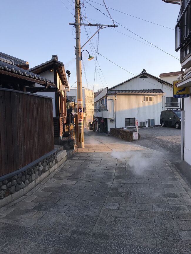 12月29日(水) *29日は平日ダイヤ<br />大阪6:51-7:56姫路8:01-9:29岡山9:33-(マリンラーナ17号)-10:11坂出10:30-11:25観音寺11:40-15:13松山伊予鉄道;松山駅前15:24-15:33市役所前16:29-16:44道後公園‥(徒歩)‥道後温泉18:35-19:01松山駅前<br />松山20:16-22:12八幡浜‥(徒歩20分程)‥八幡浜港<br /><br />午前は、松山まで移動中。<br />午後は、松山観光(松山城・湯築城跡)・道後温泉入浴。<br />夜行便のフェリーに乗船し、船中泊。<br /><br />12月30日(木)<br />八幡浜港0:20~(宇和島運輸)~3:10別府国際観光港(5:30まで船内休憩できる)‥(徒歩30分程)‥<br />亀の井バス;別府駅西口7:37-7:53鉄輪9:06-9:13紺屋地獄前12:16-11:39別府駅西口<br />別府12:28-13:52中津15:15-16:21小倉16:38-16:52下関16:53-17:32小野田17:42-17:57雀田18:12-18:17長門本山18:37-18:42雀田18:49-18:58居能19:01-19:08宇部 宿泊:宇部ステーションホテル<br /><br />午前は、別府温泉巡り。<br />午後は、福沢諭吉の中津観光、山口の宇部線秘境駅長門本山駅訪問。<br /><br />12月31日(金)<br />宇部6:43-7:34防府8:44-10:20岩国10:22-10:47宮島口<br />11:00~(宮島フェリー)~11:10宮島11:55~(宮島フェリー)~12:05宮島口12:20-14:05三原14:15-14:28尾道16:19-17:25倉敷17:41-19:25姫路19:26-20:28大阪<br /><br />午前は、長州藩の港町防府観光、安芸の宮島参拝。<br />午後は、尾道観光。