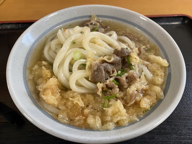 今年も年末の大修学旅行へ行ってきました。今年は高松市を拠点に琴平、丸亀、東かがわの香川県内、そして徳島市、松山市も巡ってきました。松山市は3年ぶり2回目ですが、香川、徳島は初めて。そして全国制覇まであと3県となりました。ラスボスはどこになるのか?<br />高松は街は都会的で観光の見どころも多く、本当に楽しい1週間になりました。