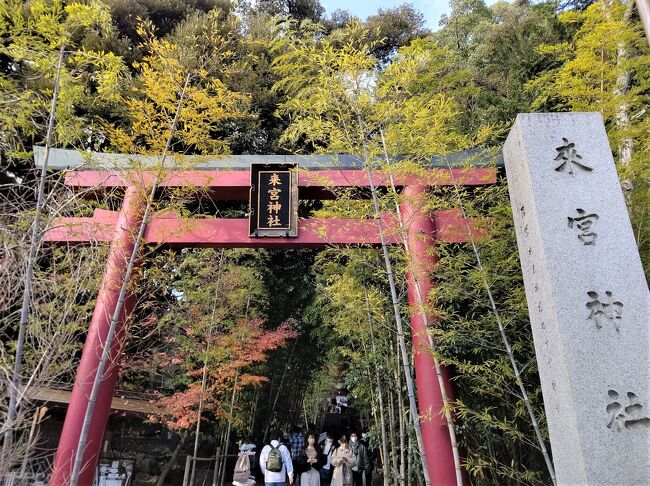 年末恒例温泉旅①　かんなみ仏の里美術館と来宮神社　in　熱海