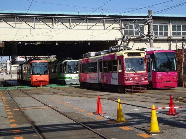 2022年2月東京(15)西新井大師 都電荒川線沿線(王子界隈 荒川車庫 三ﾉ輪橋 商店街 円通寺 浄閑寺) 南千住(回向院 延命寺) 