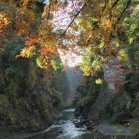 紅葉の千葉　養老渓谷　ドライブ旅