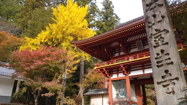 奈良にある西国三十三所観音霊場を巡りました。