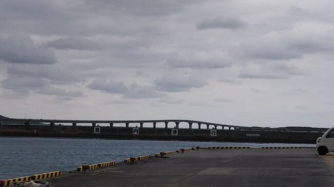 今日も路線バスで池間島へ。静かなビーチと漁港、圧巻の池間大橋を堪能しました❗️