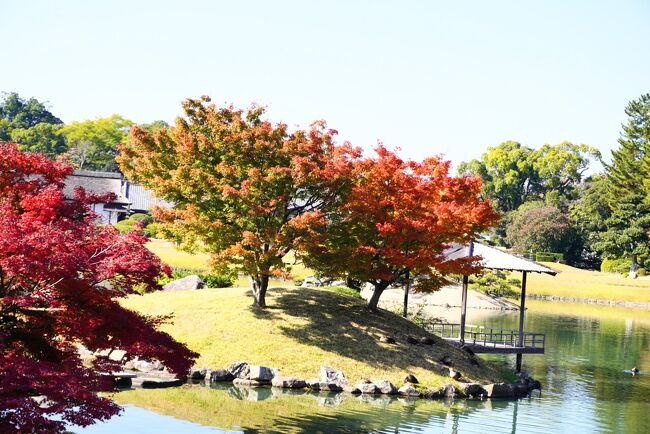 岡山を、巡る、紅葉狩りも、終盤に、差し掛かり、エエエー!またも、紅葉狩りかい?ええ加減、綺麗な、姉ちゃでも、出さんかい!と、おっしゃった、貴方、宝福寺の、本堂に、縛り付け、1週間程、反省しやがれ!<br /><br />と、豪渓、宝福寺と、巡りますと、矢張り、しんがりは、西国の片田舎、岡山の、数少ない、観光スポット、後楽園と、なるのでは?<br /><br />後楽園と、なりますと、最早、数数えきれぬ程、お世話に、なっちょりますが、矢張り、見頃は、桜舞い散る、春欄、木々が赤く、燃えあがる、秋、と、なり、その他のシーズンと、なれば……余程、路銀に、困った時しか、行かぬ、期間限定スポット!<br /><br />しかーし、これだけ、数多く、訪れると、感動に、欠けるのでは、の、心配ですが、矢張り、自然が、相手、訪れる度に、新たな、感動に、打ち震える……ことも、ねーす、マンネリ化しねーように、気を付けて!<br /><br />と、ここいらで、またまた、恒例の、アタック・チャーンス!<br /><br />「天下分け目ね、関ヶ原の戦いですが、岡山の、基礎を、築いた、宇喜多秀家ですが、西軍の主力と、して、戦いましたが、敗北!一族郎党、島流しと、なりましたが、その、島は?」<br /><br />「ピンポーン!赤の、○○さん!」<br /><br />「ハワイで、フラダンス!」<br /><br />「いやいや、それ、罰に、なってねーし!」<br /><br />「ピンポーン!青の、□□さん!」<br /><br />「バリで、ケチャダンス!」<br /><br />「ケチャ!ケチャ!ケチャ!あ、あ、あ、俺までも、トランス状態に、なってどーする?」<br /><br />「ピンポーン!黄の、△△さん!」<br /><br />「沖縄で、エイサー!あー、いやさー!はっ!はっ!はっ!」<br /><br />「△△さん!踊らくて、良いから!席に座って!」<br /><br />「ピンポーン!緑の、☆☆さん!」<br /><br />「八丈島で、裸祭り!」<br /><br />「結局、踊るんかい?」<br /><br />「先生!裸祭りは、踊りじゃありません!格闘技です!」