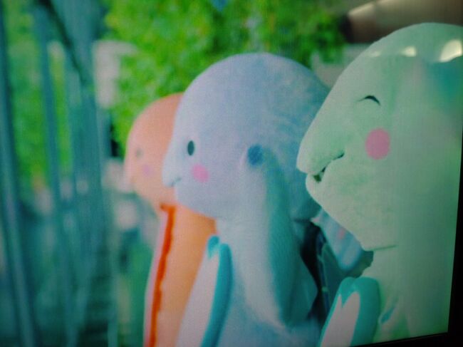 ご覧頂きありがとうございます。<br />2022年もよりよい年になりますようにお祈り申し上げます。<br /><br />ANAサイトで初日の出フライングホヌフライト抽選販売をみつけ軽い気持ちでポチッとしました。 <br />当選結果が届き、成田までのアクセスをどうするか?深夜に自宅を出発は運転不安があるし降雪や凍結も怖い!で空港周辺のTホテルを手配しタクシーで向かう計画にしてたのですが、タクシー満車で予約できず、少し安価なホテルに変更しマイカーで向かうことにしました。<br /><br /> 予算の都合でエコノミークラス通路側、翼上<br />、窓からの景色はほとんどみえず 前面モニターをみてましたが、ホヌに乗れて満足度高いフライトとなりました。