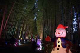 クリスマスに合わせて竹林ライトアップ