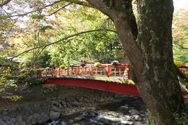 晩秋の伊豆長岡温泉旅♪　Vol.31 ☆菊まつりの修善寺温泉：修禅寺・桂橋・竹林　優雅な散歩♪