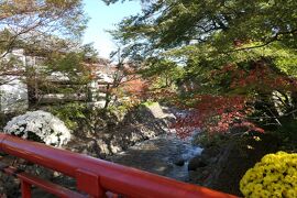 晩秋の伊豆長岡温泉旅♪　Vol.32 ☆菊まつりの修善寺温泉：修禅寺・桂橋・竹林　優雅な散歩♪