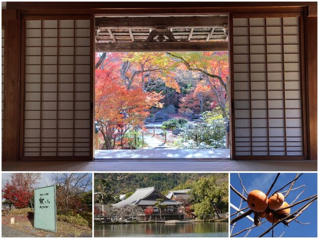 二年ぶりの京都の紅葉はやはり素敵だった!<br />日本各地に旅行はしており、それぞれのエリアで魅力的な場所が多く感動しますが、やはり京都の魅力は一歩秀でています。<br />四季それぞれに魅力を感じますが、秋の紅葉の季節は別格ですね。<br /><br />今回は、あまり時間は取れないながらも徒歩で楽しめる嵯峨野エリアに絞ってのブラ散歩。<br />紅葉シーズンの終盤で、ちょっと厳しいかなあとも思っていましたが、なんとか間に合った感じで、見事な景色に出会えました。<br />