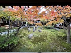 2021年最後の紅葉は建仁寺