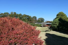 晩秋の伊豆長岡温泉旅♪　Vol.48 ☆伊豆長岡温泉「三養荘」：美しい日本庭園♪