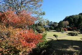 晩秋の伊豆長岡温泉旅♪　Vol.51 ☆伊豆長岡温泉「三養荘」：美しい日本庭園♪