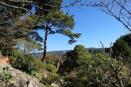 晩秋の伊豆長岡温泉旅♪　Vol.53 ☆伊豆長岡温泉「三養荘」：美しい日本庭園♪