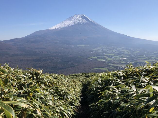 富士山を見ながら<br />お手軽で<br />絶景が拝める山<br />といえば迷わず竜ヶ岳を選びます。富士山からの距離はもちろん、間に人工物があまりない点が最大のおすすめのポイント。<br />ここはほんとに日本か！？ジャングルじゃないのか！？という秘境感が味わえるのです。<br />