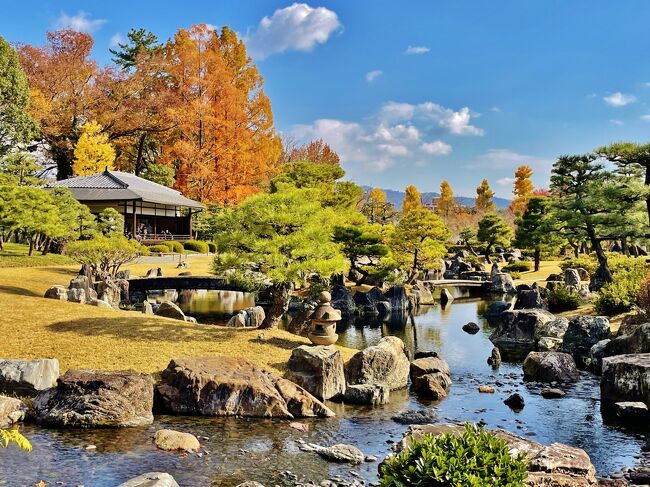 詩仙堂や圓光寺、曼殊院と洛北へ紅葉巡りのつもりでしたが、圓光寺が事前予約制と知り予定変更、二条城を訪れることにしました。庭園を散策しお茶室で休憩後、京都御所&amp;御苑から下鴨神社へ、紅葉や神社巡りを楽しみました。京都駅へ戻って晩ご飯のあと、イルミネーション鑑賞や買物など、駅ビル内でゆっくり過ごしました。<br /><br />主な日程はこちら↓<br />11/25(木)嵐山お寺巡り～妙心寺～北野天満宮～東寺～サクラテラスザギャラリー泊<br />11/26(金)二条城庭園～京都御所と御苑～下鴨神社⇒帰宅