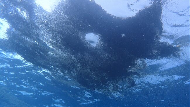 宜野湾で初めてダイビングしました！軽石にも遭遇！