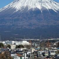 小竹丸祓講の富士塚の山頂で参拝した後に富士宮を訪ね、 富士山本宮浅間大社を参拝する。