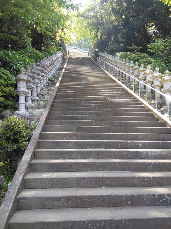 特に行く所を決めてなかったんですがコロナで家の中にばかり居れないので真鶴半島にドライブに行きました。<br />自宅から1時間弱なのでノンビリ旅でした。<br /><br />行った所は<br /><br />1、「貴船神社」へ 階段を登った高台にあります、漁業の安全を祈願して創建されたと聞きました。<br /> 貴船神社祭りがありますが真鶴町 の一大催事です。 訪れる人は数組<br /><br />2、「中川一政美術館&アトリエ」 工事中でした。<br /><br />3、「お林展望公園」 ここは昔シャボテン公園だった記憶です 今はパークゴルフ場などがあります。人は少なかった。<br /><br />4、「THE MANAZURU FIRE DEPARTMENT」 へ ここには昔、真鶴町に消防車が少なかったので、石原軍団が映画の撮影で使った<br /> 消防車を寄贈したようで、あまり活用されなかったみたいです。その後引退して、ここに展示されてるようです。<br /><br />5、「一夜城 yoroizuka farm 」「一夜城マルシェ」へ、ここは有名な鎧塚俊彦氏のスイーツの店です。小高い丘陵にあり<br /> 相模湾の眺めがいいです。ランチやお茶も出来ます。野菜も売っていて竹の子を買って帰りました。訪れる人は多かった<br /> です。<br /><br />6、干物の「山安ターンパイク店」でお買い物。お客は多く多少密でした。<br /><br />7、帰宅<br /><br />雑感:コロナが騒がれ始めた当初で行った所は人出が少なく密は無かったです。<br />
