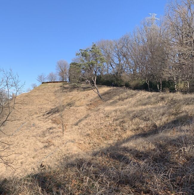 古東海道とされるよこやまの道を歩いた。丘陵には実に多くの古道が通っていた。