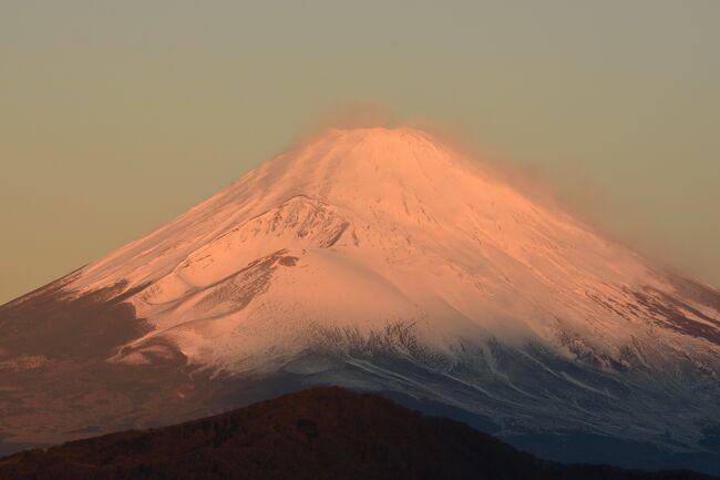 早朝、箱根へ行き、富士山の撮影をしてきました。<br />富士山が、薄い紅色に染まり、とても綺麗でした。<br /><br />(((o(*ﾟ▽ﾟ*)o)))　*;&#39;.、<br /><br /><br />●前回旅行記<br />https://4travel.jp/travelogue/10416520