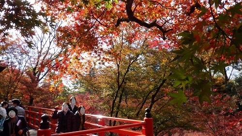 今年の紅葉は、結構長く楽しめたので、次はどこに行こう。<br />京都北野天満宮にしよう！！<br /><br />ということで、お天気にも恵まれた日曜日。<br />さっそくでかけました。<br />