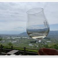 山梨の中心で愛をsake部。ぶどうの丘ワインカーヴで山ほどワインの試飲、夜は七賢で日本酒堪能のアルコール三昧の旅