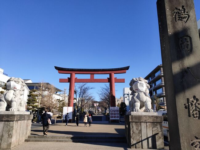 鶴岡八幡宮へ初詣に行ってきました。<br />豊島屋菓寮八十小路で食べてみたかったわらび餅も食べてきました。<br />晴れていましたが、風が冷たく、とても寒かったです。