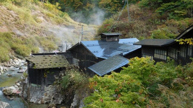 2021年10月23日~24日 晴れ<br /> 宮城県から秋田県へ抜ける途中で、気になる2つの秘湯宿を訪れた。温湯温泉佐藤旅館は大正から昭和にかけて造られた古い建物を使って営業していたが、度重なる地震被害でやむなく休館。再開の目途が立たない中で一人の移住者が復活を呼びかけ、多くの若者が賛同して昨年再開にこぎつけたばかり。若者中心で運営しており、秘湯ファンとして少しでも応援したかったために宿泊先に選んだ。<br /> 大湯温泉阿部旅館は皆瀬川最上流の山間にある日本秘湯を守る会の会員宿。高温で湯量豊富、有り余る湯は皆瀬川の中にも湧いている。ここで会ったご同輩に鳴子温泉郷の中山平温泉にある蛇湯を勧められた。長年苦しんでいた難病が40日の湯治で快癒したそうだ。<br /> <br /> <br />【旅程】<br /> 10/21 神戸空港→花街空港→大沢温泉・湯治屋(泊)<br /> 10/22 大沢温泉・湯治屋→山の駅「昭和の学校」→鉛温泉藤三旅館(立寄り湯)→夏油温泉・湯元夏油(泊)<br />★10/23 夏油温泉・湯元夏油→猊鼻渓→平泉(中尊寺、毛越寺、達谷窟毘沙門堂、厳美渓)→温湯温泉・佐藤旅館(泊)<br />★10/24 温湯温泉・佐藤旅館→大湯温泉・安部旅館(立寄り湯)→小安峡→泥湯温泉(湯巡り)→河原毛地獄→瀬見温泉・喜至楼(泊)<br /> 10/25 瀬見温泉→中山平温泉(湯巡り)→鳴子峡、尿前の関→東鳴子温泉(湯巡り)→東鳴子温泉・高友旅館(泊)<br /> 10/26 東鳴子温泉・高友旅館→重伝建「金ヶ崎町城内諏訪小路」→花巻空港→伊丹空港