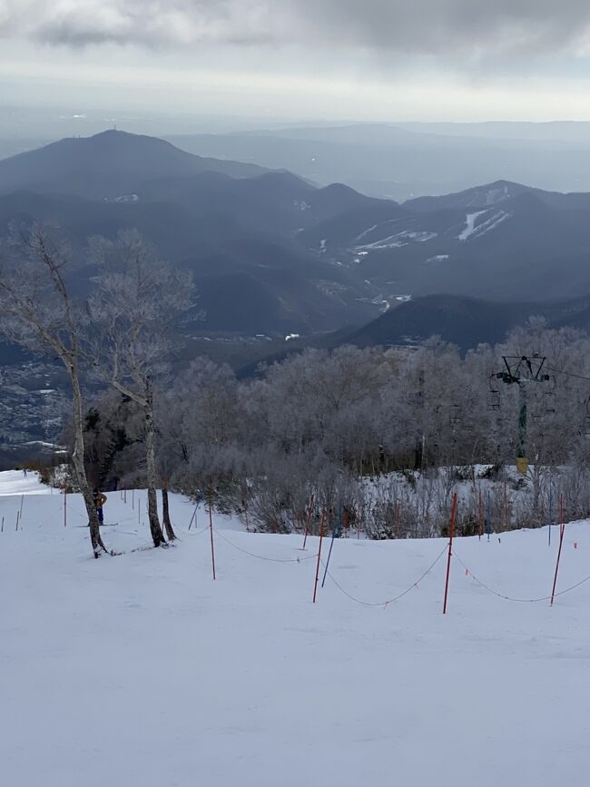 初滑り4日目は、雪が少ないですがテイネハイランドへ行ってみました。<br />案の定ハイランドもブッシュが出ています。<br />雪はアイスバーンです。<br />その代わり、お客さんは少ない。<br />板には、綺麗に傷跡が1本縦に着いています。<br />早めの3時に切り上げて、ホテルへ向かい大通り公園のイルミネーションと食事に行きました。<br />