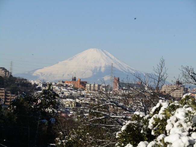 　元日は工場も正月休みで、空は抜ける晴天であった。しかし、初日の出は拝んだが、初富士をみるために外には出なかった。<br />　今日は昨日の大雪で、大気中のチリやゴミが落ちて、これまた空が抜ける晴天である。雪景色の中から富士山を見ようと、凍った足元を気にしながら、冨士山のビュースポットに向かう。<br />　いつもの八幡谷から眺める富士山と紅葉滝から眺める富士山である。<br />　なお、紅葉滝では金属柵越しに富士山を撮影したので、写りが悪くなっている。<br />（表紙写真は八幡谷から眺める富士山）