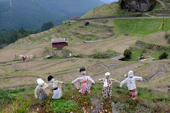 三重交通バスを利用して現地集合、現地解散の一泊旅行に行ってきました。<br />バスで名古屋からＪR熊野市駅まで、駅前にある観光案内所に集合…二組で出発～。マイクロバスで獅子岩、花窟神社に参拝、ここでは奥さんは手ぬぐいをゲット。マイクロを走らせ「丸山千枚田」に田植え前は最高でしょう。<br />赤木城址に…築城の名手藤堂高虎によってつくられた城で朝もやに浮かぶ城跡は、幻想的で天空の城とも言われています。紀州鉱山選鉱所跡…奈良東大寺の大仏を建立する際にも、ここで採れた大量の銅が使われたと伝わっているそうです。今夜の宿は、北山川ほとりの「瀞流荘」に夕食まえにトロッコ電車 に乗り「湯ノ口温泉」に…金山を開発した時に発見された温泉、また、は湯治場も備えた温泉になります。<br />二日目は朝から雨。鬼ヶ城を周り、松本峠に土砂降りの雨で途中、東屋で休憩ここからは御浜の海岸線がきれいに見えるポイントです。昼食は「うどん」と「めはり寿司」のセットが用意され頂きました。観光協会で休憩後、お土産を買い、バスで名古屋に帰りました。<br /><br />