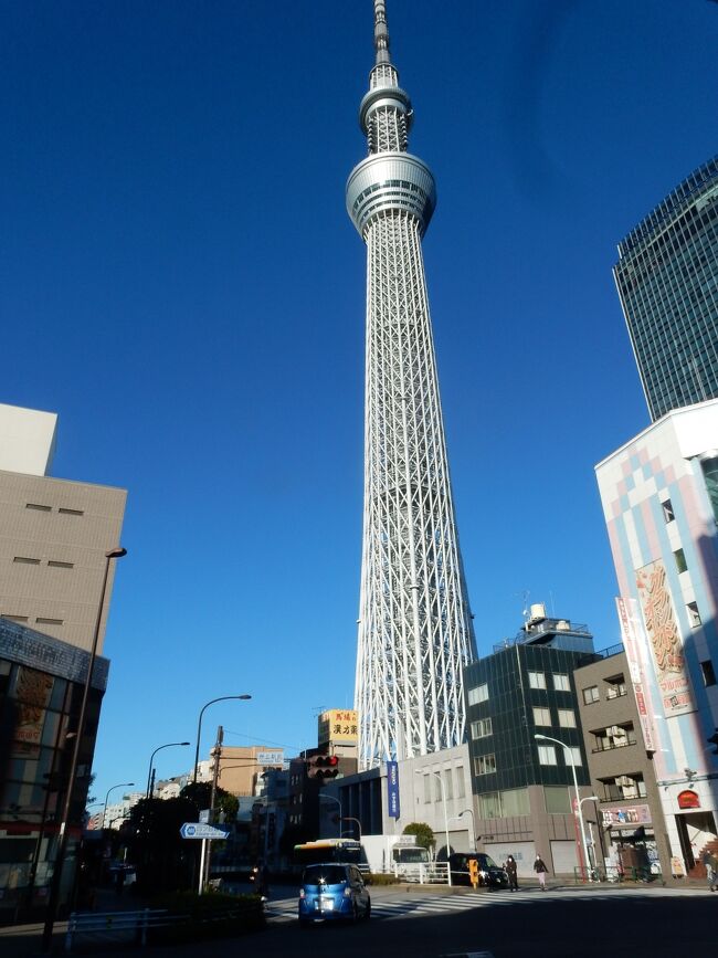 下町の風情を残す墨田堤　東京都の歴史散歩　⑦　向島