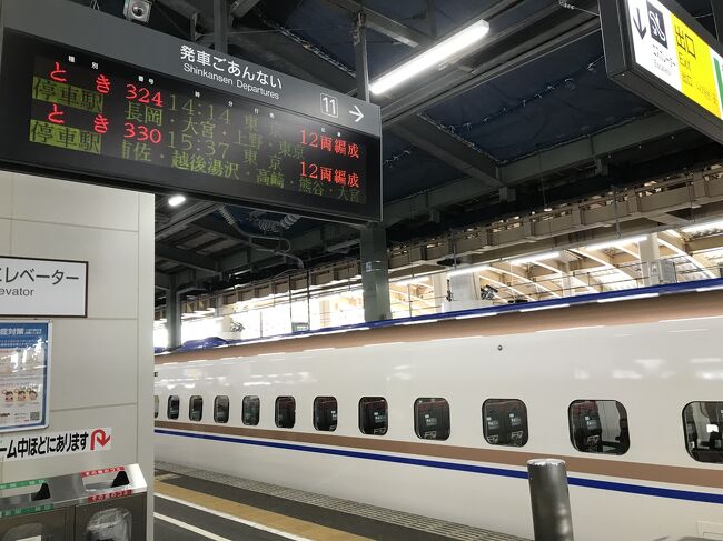 幼くして鉄道と言う病魔に取り憑かれた私は、今年の冬も青春18きっぷ依存症候群の発作が起きました。<br /><br />青春18きっぷ依存症候群の特徴<br />青春18きっぷによる旅で快感や高揚感を伴う刺激を体験した者が、それを再び求める抑えがたい欲求が生まれて、その刺激がないと不快な精神的・身体的症状を生じる状態のことをいいます。<br />一般的に以下の症状があります。<br /><br />
①「一度だけなら大丈夫」ではなく途中でやめられない。(5回)<br />
②使用をやめたり、減らしたりすると、他のフリーきっぷを使うなどの禁断症状が出る。<br />
③ 好奇心から短距離の使用なら安全と思って使用すると、体が長時間の乗車に慣れてくる耐性ができて長距離に乗れるようになる。<br />
④使いたいという強烈な欲求に抗えず、また次のシーズンには手を出してしまう。(年3回)<br />
⑤ 一日の大部分を乗り鉄に使うようになるために社会生活が送れなくなる。<br /><br /><br />このページでは、新潟から東京へ青春18きっぷで帰ろうとしていましたが、上越線が雪により運休となったので上越新幹線で帰るタイトル詐欺の回です。<br /><br /><br /><br />2021年12月29日<br />青春18きっぷ1回分<br />東海道線グリーン車 東京→沼津 800円<br />東海道新幹線 ひかり503号 静岡→浜松<br />乗車券1,340円+新幹線特定特急券990円=2,330円<br />アパホテル福井片町 シングル禁煙食事無し4410円(税込み)<br /><br />2021年12月30日<br />青春18きっぷ1回分<br />北陸鉄道 北鉄金沢→三ツ屋 200円<br />北陸鉄道 磯部→北鉄金沢 190円<br />IRいしかわ鉄道+あいの風とやま鉄道 津幡→石動 280円<br />あいの風とやま鉄道 1日乗車券 1500円<br />あいの風とやま鉄道+えちごトキめき鉄道 越中宮崎→直江津 1520円<br />東横イン新潟駅前 シングル禁煙 4200円(税込み)<br /><br />2022年1月1日<br />上越新幹線 とき324号 新潟→上野<br />乗車券5,720円+新幹線自由席特急券4,300円=10,020円