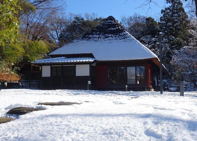 お正月は　横浜も雪、馬場花木園など