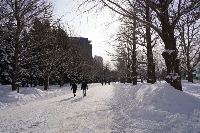 2021年の12月から年始にかけて、札幌とルスツに1週間滞在しました。<br />札幌のホテルは「さぁ!サッポロ冬割」（ツインルームに2人で1泊した場合に、料金が10000円引きになる上に飲食店で使える4000円分のクーポンが貰えるというお得なキャンペーン）を利用しています。<br />日中でも常に気温が氷点下という環境を長期間体験するのは初めてでしたが、グルメや景色など冬の北海道を堪能する事が出来ました。<br /><br />■旅程（この旅行記は★のついた日程について）<br />　1日目　東京⇒札幌<br />　　ANA1411 HND 15:30 ⇒ CTS 17:00<br />　2日目　札幌⇒ルスツ<br />　3日目　ルスツ⇒札幌<br />★4～6日目　札幌<br />★7日目　札幌⇒東京<br />　　ANA1412 CTS 17:50 ⇒ HND 19:30<br /><br />■宿泊先<br />　・三井ガーデンホテル札幌<br />　・ウェスティン ルスツリゾート<br />　・ホテルJALシティ札幌 中島公園