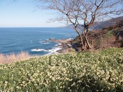 越前海岸ドライブと永平寺