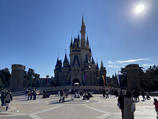 久しぶりに東京ディズニーランドへ行ってきました。<br />前回は長男が1歳を迎えたばかりの頃だったので、実に8年ぶりです。<br />これだけブランクがあれば、乗ったことのないアトラクションも結構あって、新鮮な気持ちで楽しめました。<br />ちなみに待ち時間は最大で35分程度でした。<br />昨年に比べると入園者数はだいぶ緩和しているとのことですが、このくらいの混み具合だと全然アリですね!<br /><br />新しいアトラクション、美女と野獣の魔法のものがたり&ベイマックスのハッピーライドをはじめ、乗りたいものには大体乗れたし、<br />ショーとグリーティングは1コづつできたし、充実した1日だったと思います。<br /><br />千葉ディスカバーキャンペーンのクーポン消化&体力温存のため、ホテルオークラ東京ベイに前泊しています。<br /><br />