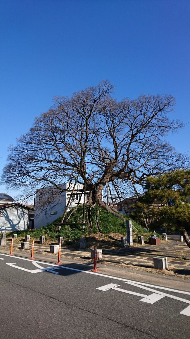 ⑪東海道五十三次　京から江戸へ（笠寺観音から池鯉鮒宿まで）