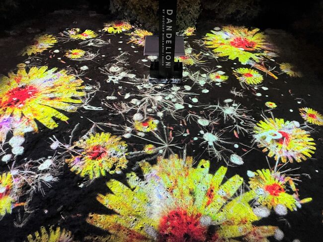 京都 平安神宮 ヨルモウデライトアップ 京都国立近代美術館 京都市京セラ美術館 ロームシアター京都 京都モダンテラス で泡ランチ 下鴨 宝ヶ池 平安神宮 京都 の旅行記 ブログ By リンリンベルベルさん フォートラベル
