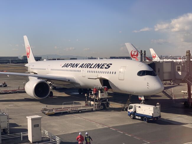 年末年始最後の休みの日、新幹線と飛行機を乗りたいがために日帰り旅行をしてきました。