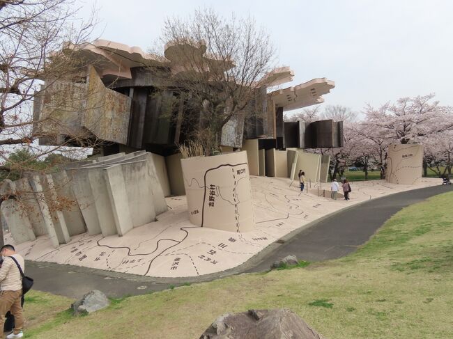 2021年3月30日(火)2時半前、養老孝子坂を下り、松風橋を渡ってお昼を食べた養老公園の楽市楽座・養老の下に広がる芝生広場の南東に広がる養老天命反転地へ。<br /><br />ここに来るまでは全く知らなかったところなのだが、来る時の電車に「養老鉄道で行く養老公園満喫キャンペーン」のポスターがあり、2021年3月20日から5月30日まで養老鉄道の切符を見せれば入場が無料になると云うので寄ってみることにする。電車を降りる時に改集札口の駅員さんの聞いたら切符は回収されなかった(下の写真1)。<br /><br />楽市楽座から真東に下ったところにある入口で入場(下の写真2)。確かに切符を見せたらそのまま入れた。入園料、大人770円だそうで、これは結構お得じゃない？<br /><br />どんな施設か、全く分かってなかったが、1995年に開園した荒川修作とマドリン・ギンズのプロジェクトを実現させたもので、作品の中を回遊し体験することで作品を鑑賞するモダンアート。芸術作品で博物館・美術館ではない。と書かれてもよう分からんよね。これは行ってみなけりゃ分からんわ。トリッキーなアートに触れられる庭園とも。かなり凄い!<br /><br />この施設の大きなテーマは「“死なないために”五感を目覚めさせる」と云うもの。誰もが産まれた時点で死に向かうという「天命(宿命)」を「反転(覆す)」ことを使命としている。例えば、歳をとって転んでは危ないからといって、段差や傾斜を無くしてしまっては、人間本来の身体能力を余計に衰退させ、死に近づいてしまう。だからこそ施設内は、垂直水平を極限排除し、人間の平衡感覚や遠近感に揺さぶりをかける仕掛けがいくつも施されている。なんと難しい・・・<br /><br />荒川修作氏は2010年に73歳で亡くなった名古屋出身の美術家。紺綬褒章に紫綬褒章を受章されてる。ミュンヘンオリンピックのポスターのデザインもされた。マドリン・ギンズ(Madeline Gins)氏はその4年後に72歳で亡くなったニューヨーク出身の美術家で詩人。荒川修作氏のパートナーだった。<br /><br />この施設は主に「極限で似るものの家」と「楕円形のフィールド」から成っているが、入場するとまずあるのは記念館・オフィス。開園から2年後の1997年に完成したもので、実際にオフィスとしても使われていた。<br /><br />十二単の羽衣を着た天女が空から舞い降りたかのような色鮮やかな建物。外壁の24色はすべて内部にも反映され、不規則に注ぐ自然光の効果とあいまって、不思議な空間を作り出している。この建物も荒川・ギンズ両氏の設計。<br /><br />内部に入ると50cmから1m程度の大小さまざまな塀が迷路状に並び、天井からも同様の塀がせり出している。とてもカラフルで光にあふれており、まるで天地がひっくり返ったようにも見える。インスタ映えすると、人気のスポットになっている。<br /><br />記念館を通り抜けると、すぐ先にゴロゴロとした大岩がうず高く積まれ、頂上に組上げポンプが建っている。昆虫山脈と名付けられた作品で、ポンプから出る水を求めて岩山をよじ登る人を昆虫に見立てている。登らなかったが大変そう・・・<br /><br />昆虫山脈の向かいに不死門。養老天命反転地の文字や文章が刻印された床から何本もの竹が突き出している。何が門なのか分からないが、この竹の中で傍に猫と兎のオブジェが置かれているのが門としての意味を持つらしい。分からん・・・<br /><br />その先に「極限で似るものの家」。建物内の机や壁・天井が上下左右を全く無視した場所に配置されており、視覚的な錯覚を体全体で楽しむ家。屋根は岐阜県をかたどっており、床にあたる部分にはそれを映し出すような仕組みになっている。中には入ってないのだが、「自分の家とのはっきりとした類似を見つけるようにすること」だそうだ。なんや、よう分からんが、とにかく外観から変わってる。<br />https://www.facebook.com/media/set/?set=a.7002539919815972&amp;type=1&amp;l=223fe1adec<br /><br /><br />「楕円形のフィールド」に続く