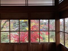 晩秋の越後　ちょっと遅かった紅葉めぐり３　椿寿荘、弥彦 もみじ谷編