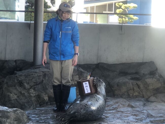 年も明け寒さが身に染み入る今日この頃、温泉にでも行きたいなと言うことで、ちょっくら行けるところで探した自家源泉のドーミーイン川崎へ<br /><br />そして川崎と言ったらこの時期は川崎大師、ここはまではすんなり決まりましたがあと何処か行けるところないかと直前まで熟慮の結果、しながわ水族館へ行って来ました。<br /><br />
