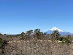 伊豆マリオットホテル修善寺のお正月