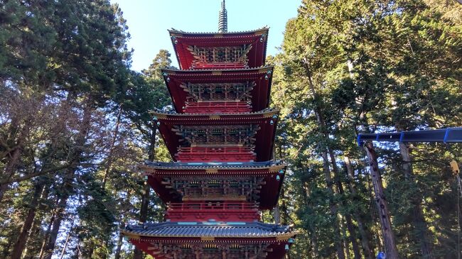 鬼怒川温泉を出て日光方面に向かう。<br />途中で日光名物のたまり漬けを買おう。<br />たまり漬けのチェーン「つるや」で、たまり漬け3種を購入。<br />これは楽しみだ。<br /><br />店を出て車で日光東照宮に向かう。<br />せっかく日光まで来たら世界遺産の東照宮には寄りたい。<br />車を停めて輪王寺を参拝し御朱印を頂いてから、東照宮へ。<br /><br />見ざる聞かざる言わざる、そして五重塔を見る。<br />やっぱり見事だ。<br />参拝し御朱印を頂いてから、眠り猫を臨み家康の墓を目指し長い階段を昇る。<br /><br />これは結構疲れる。<br />墓参後は下ってゆくが、見事な木々が見える。<br /><br />東照宮を出て、ランチを食べよう。<br />日光と言えば湯葉も有名だが、金谷ホテルの洋食もいい。<br />ここは洋食にしよう。<br /><br />金谷ホテルのメインダイニングでランチ。<br />100年ライスカレーを注文。<br />牛、鶏、鴨から選べるが、鴨を選択。<br /><br />風情ある外観、館内、そしてダイニングルーム。<br />落ち着いた雰囲気でゆっくりカレーを頂く。<br />値段は結構高いが、それに見合う美味しいライスカレーだ。<br /><br />満足なランチを頂いてから帰路へ。<br />途中羽生サービスエリアに寄ったが、飲食店や土産物屋が入る建物が風情いっていい。<br /><br />鬼怒川から日光旅行。<br />ゆっくり楽しめた。