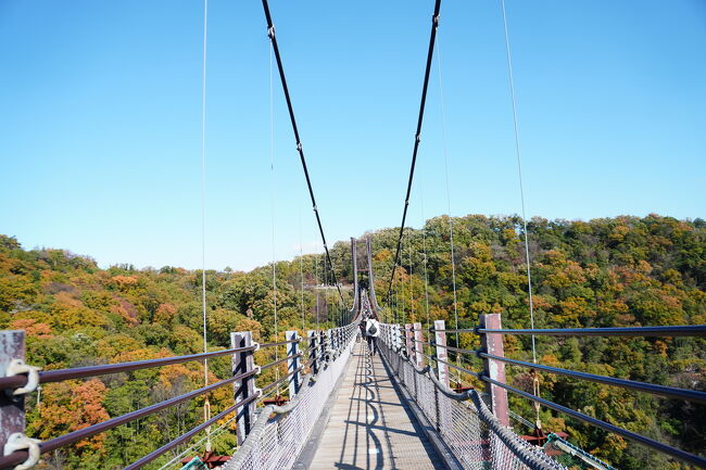 森林浴をかねてハイキング。ちょっと山を登れば紅葉の中を歩ける吊り橋に。スリルと絶景を楽しめます。