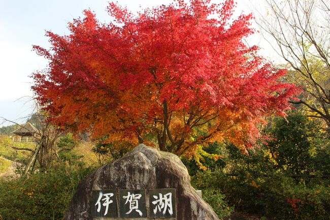 隠岐諸島は、約600万年前の火山活動で誕生した島々です。<br />大地の活動は人々が暮らす土地を作り出し、日本海の波風と合わさって雄大な景色をもたらしました。<br />魅力あふれる地に、フォートラベルで「いつか行く隠岐の島2日間」とタイトルを付け~旅の計画を立てていたのですが・・<br />やっと少しコロナ禍が落ち着いたタイミングで、出かけることが出来ました。<br />後編は宿泊した隠岐プラザホテルを朝8時頃チェックアウトし、出発したところから始まります。